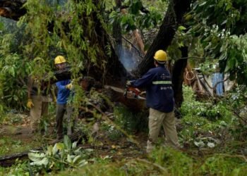 Tras la tormenta, el Municipio despejó calles y retiró árboles caídos en distintos sectores