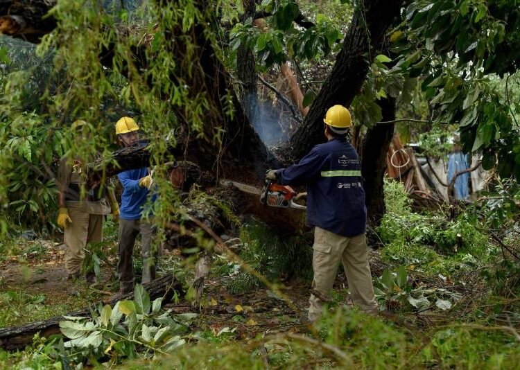 Tras la tormenta, el Municipio despejó calles y retiró árboles caídos en distintos sectores