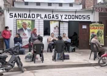Continúan las castraciones gratuitas en San Pedro de Jujuy